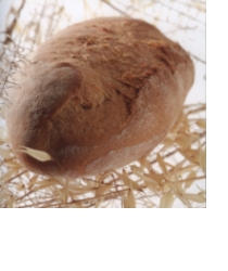 Pane casereccio con poolish
